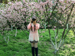 ��������΢����� ��³Ѹ��԰������Ϣ