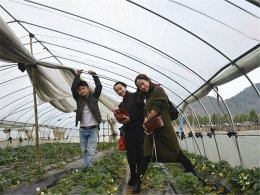 �������̳�����Ƣ ��Ů��ժ��ݮ���ֶ�