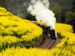 ��л����Ȼ�Ķ��� ���������ҿ�ɽ��԰