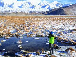 ����������������� �Ͻ�֮�в����ź�