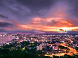 �������ֲ����� ����ү�����۳Ҷ�����