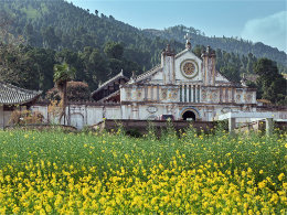 �·�Խ������� �ι��������������