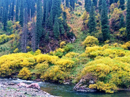 ������������� �����������������ȴ