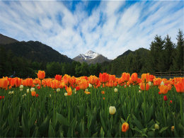 �������һ��ͬ�� �����½����մ���ɮ