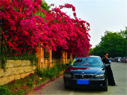 ��л����Ȼ������ ��Ů�����߳�����÷