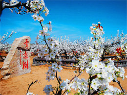 ����֮��ƫ��ϲ ��������ũ����԰���