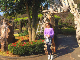 �������������� ���ܼ��ݵ�����������