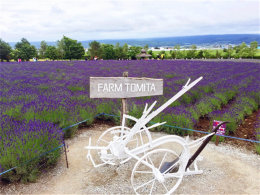 ����ӣ������ ���α��������������