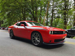 ���Ļ���������� ������������������