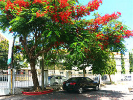 ���������������� �߷�ѿׯ����������