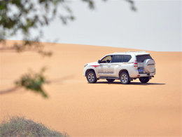 ɳĮ��Ľ�� Ѱ����Ī�Ⱒ��������