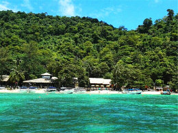 ����һ���ϵ��� ����̩���ķ�������