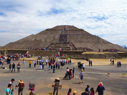 Ѱ���������� ϸϸƷζī������ط���