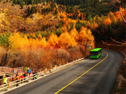 ������ߵĲ��� �����ǲ�ԭ����Ҷ��׺