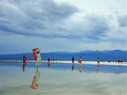 ��¼�Լ��߹���· ��Өѩ�׵Ĳ迨�κ�