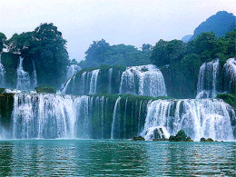 ��ʨ���������� �۵����ٲ�������ӿ