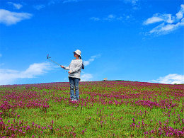 ����������� ż����Դ��¼�¶�������