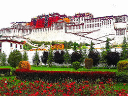 ����������� ����ǹƥ����̤�ϴ�����