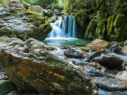 ���������Դ Ѱ��ũ�ܱ������ĺ�ȥ��