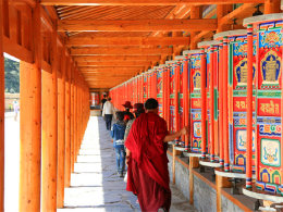 �������˳�ľ� �ֳ־�Ͳ�߽���������