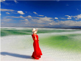 ��¼�Լ��߹���· ��Өѩ�׵Ĳ迨�κ�