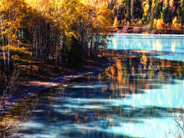 �ƺ�ˮ��Լ�� �ϵ�ƫԶ�ĵ�ɫ�̿���˹