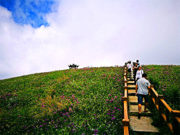 һ������������ó� ����������Ȼ֮��