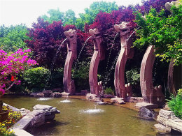 һ·Ц����ͣЪ ӵ������̶����������