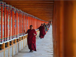 ��Ŀ�ھ��������� ������еĸ���ɫ��