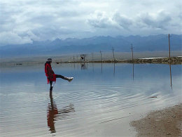 ֻΪһ�á����ݡ� ����Ͳ迨�κ����