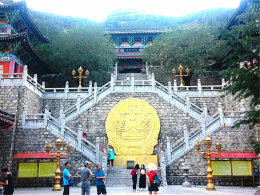 ɽ����ľ����԰ ��̩������������