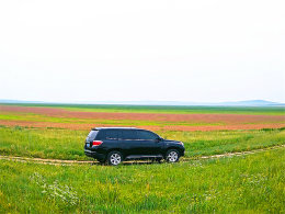 �۳��ݺ�������� �����ֹ�������׳��