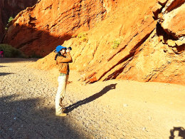 ���Ű���ȥ���� �ᴩ�޲�������������