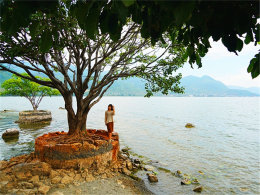 Ѱ������������ ���������ϵ�����