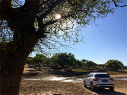 ��ת���Ƶ��λ� �������ֹ�������ҹ��