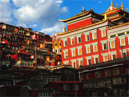 �а���鲻����į ���滨��ѩ������