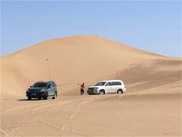 ��������̽������ ����ֱǰֱ���޲���