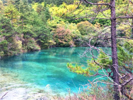 �ϵ۴��˵�ɫ�� �߽���կ��ͯ������