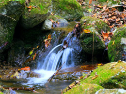 ����һ˿�ź� ���ռ�����ũ�Ҵ������