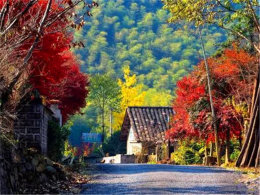 ����������Ϣ �����������綨�������