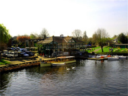 ���Ϸ��ĻԻ� ����Ӣ��ϸ��ɯ������