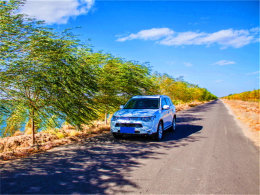 �����ڴ���Ȼ�� ���׺�����֦����ҡҷ