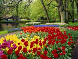 �糵֮��ʵ������ ���������㻨��֮��