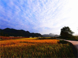 ���ﵾ��˶������ ���̴�ϲӭ�˷�����