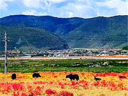 �����ȫ����·�� Ц�������ڵ����Ƕ�