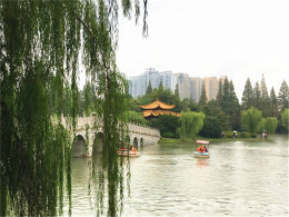 ��ζ������̬ ��ң���������������ɣ