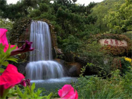 �����ֲ��������� ����������ɽһ����