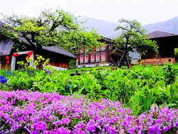 һ����Ը�������� ����ŷ�޵������黳