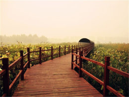 �����һ���� С���ŸµĹ��¶�������