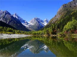 ����ɫ���������� ���﹵������������